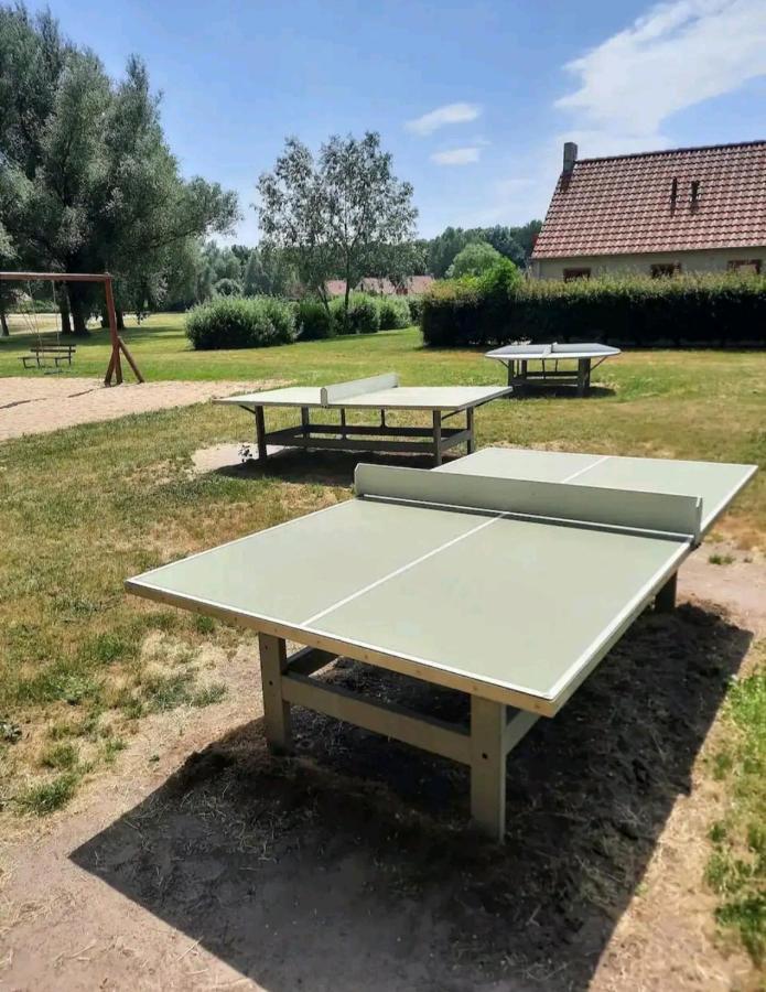 7 Person House With Garden, Firepit, Swimming Lake, Hammock, Child Friendly, In- And Outside Playground, Slide, And Great Coffee Ewijk Exterior foto